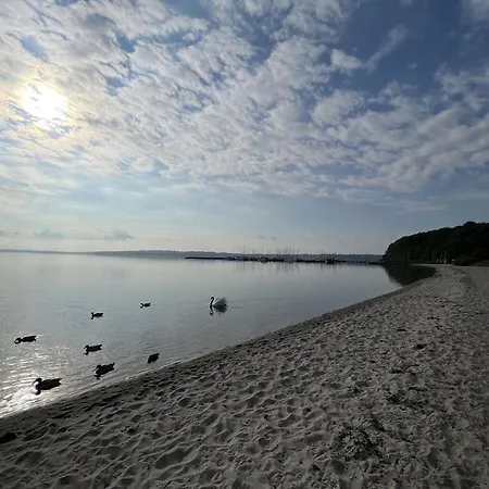 'kapitaenslounge' Vollsanierte Mit Blick Auf Flensburger Foerde 哈里斯莱